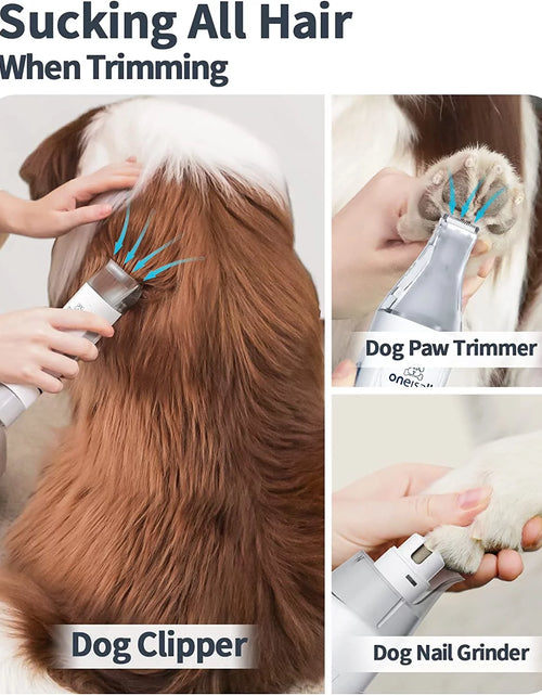 Load image into Gallery viewer, Kit De Aseo Para Perros 7 En 1, Aspiradora De Aseo Para Mascotas De Bajo Ruido Con Vaso De Polvo De 1.5 L, Aspiradora Para Perros Para Desprendimiento Y Aseo, Con 7 Herramientas Profesionales De Aseo Para Perros, Gatos, Pelo De Mascotas Y Limpieza Del Hogar, Morado
