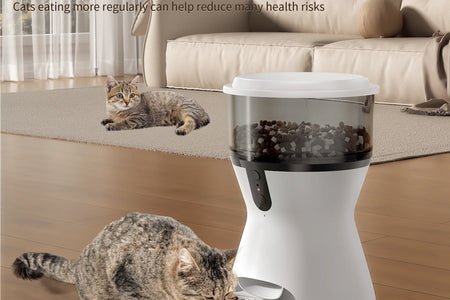 Automatic Cat Feeders 2.4G Wifi, Automatic Dog Food Dispenser, Timed Pet Feeder with 10S Dining Voice Record, 20 Cups/4L Smart Pet Feeder, Auto Pet Feeder for Cats and Small Dogs