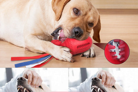 Juguete Chirriante Para Perros Grandes Y Medianos, Juguetes Interactivos Para Perros."Producto En Liquidación, Color Aleatorio, Por Favor No Compra Si Te Importa."