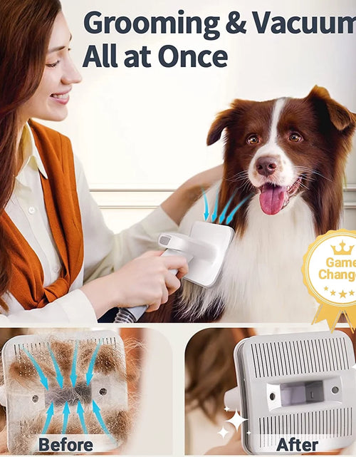 Load image into Gallery viewer, Kit De Aseo Para Perros 7 En 1, Aspiradora De Aseo Para Mascotas De Bajo Ruido Con Vaso De Polvo De 1.5 L, Aspiradora Para Perros Para Desprendimiento Y Aseo, Con 7 Herramientas Profesionales De Aseo Para Perros, Gatos, Pelo De Mascotas Y Limpieza Del Hogar, Morado
