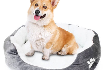 Dog Bed for Small Dogs, Cozy Calming Pet Bed for Dogs Cats, Anti-Anxiety, Non-Slip and Machine Washable, Perfect for Home, Indoor/Outdoor Use